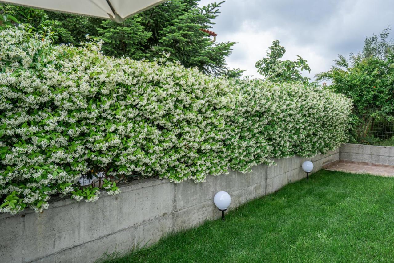 Veria Panorama Luxury Suite With Garden 2 Exterior foto